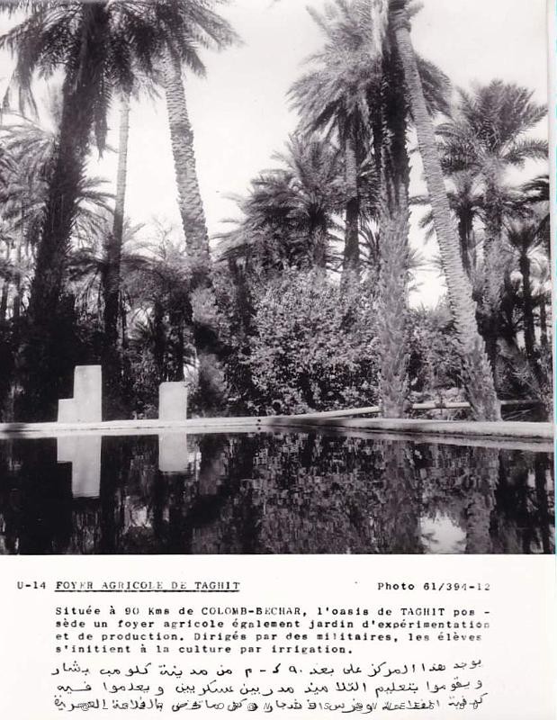 Algerie propagande 095.jpg
